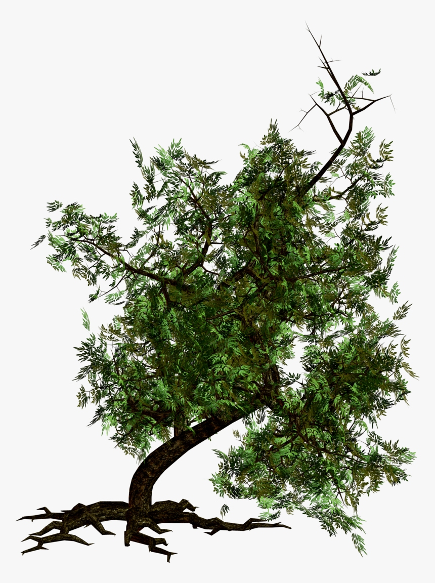 Tree Png Image - Arbol De Noche Png, Transparent Png, Free Download