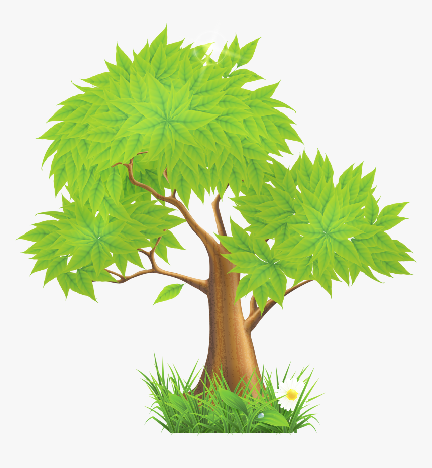 Eucalyptus Clipart Forest Tree , Png Download - Trees Clip Art Png, Transparent Png, Free Download