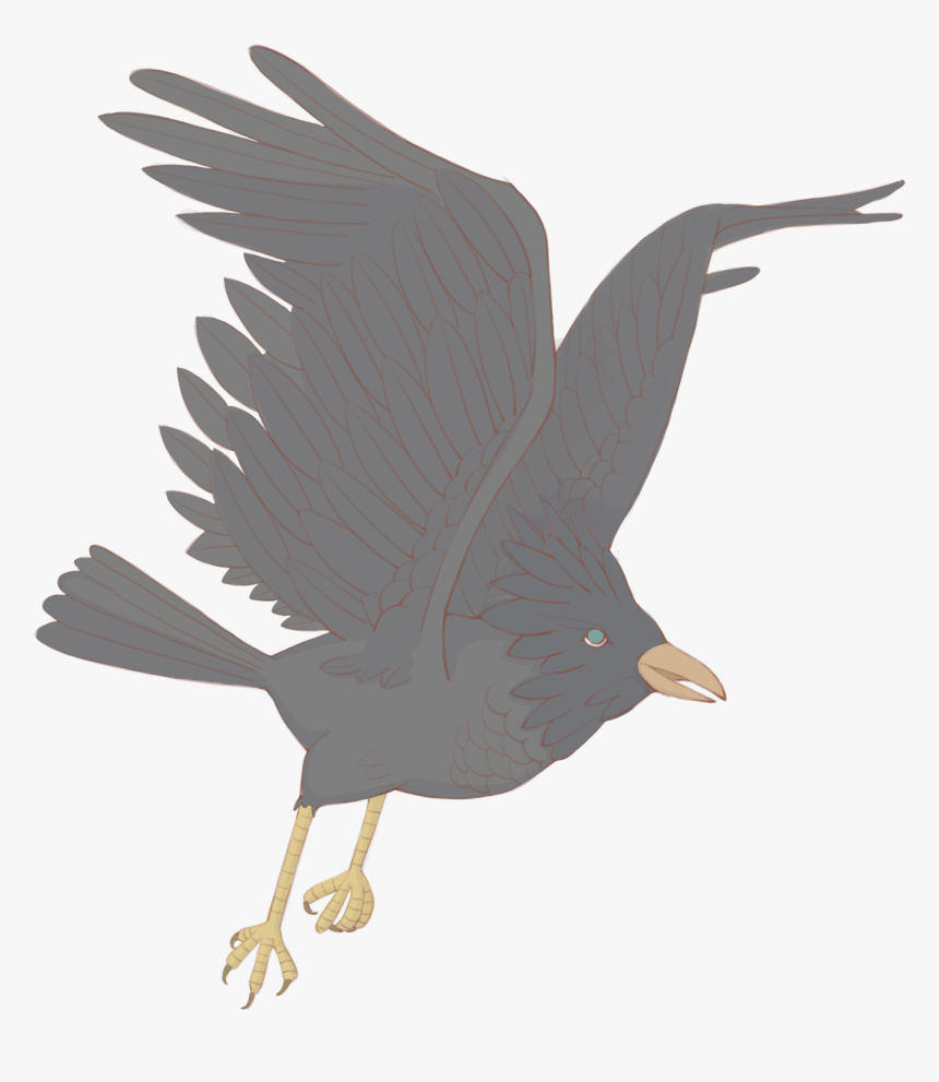 Hand Drawn Grey Crow Bird Png And Psd - อีกา วาด ภาพ, Transparent Png, Free Download