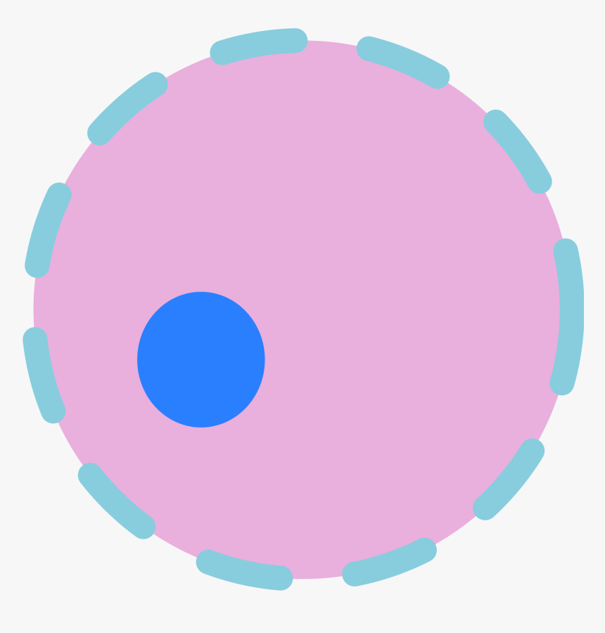 File Cell Nucleus Wikimedia - Cell Nucleus Png, Transparent Png, Free Download