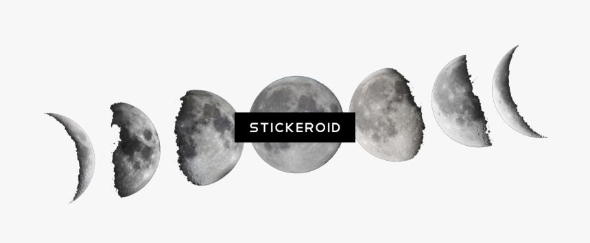 Moon Phases Black And White , Png Download - Transparent Moon Phases Png, Png Download, Free Download