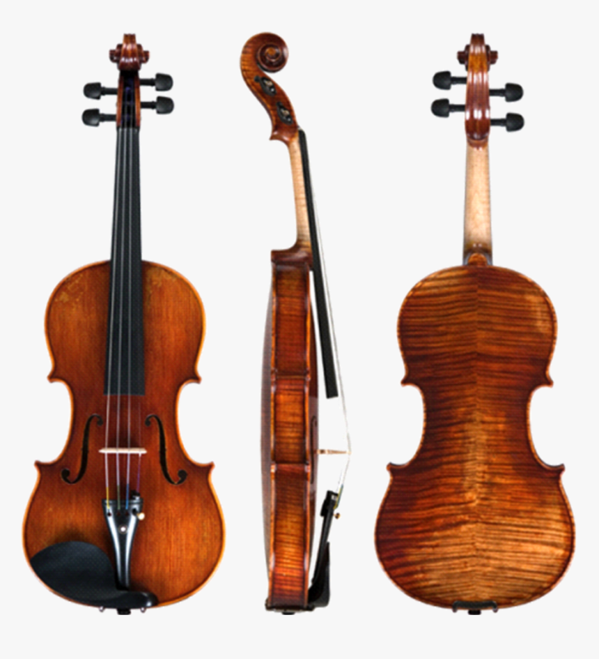 Viola Png, Transparent Png, Free Download