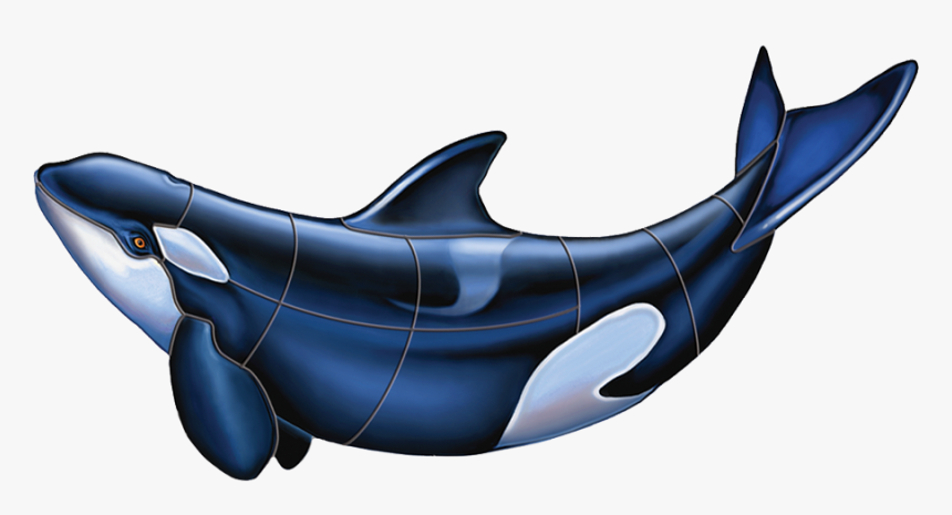Porc Or53 Orca B Copy - Killer Whale, HD Png Download, Free Download