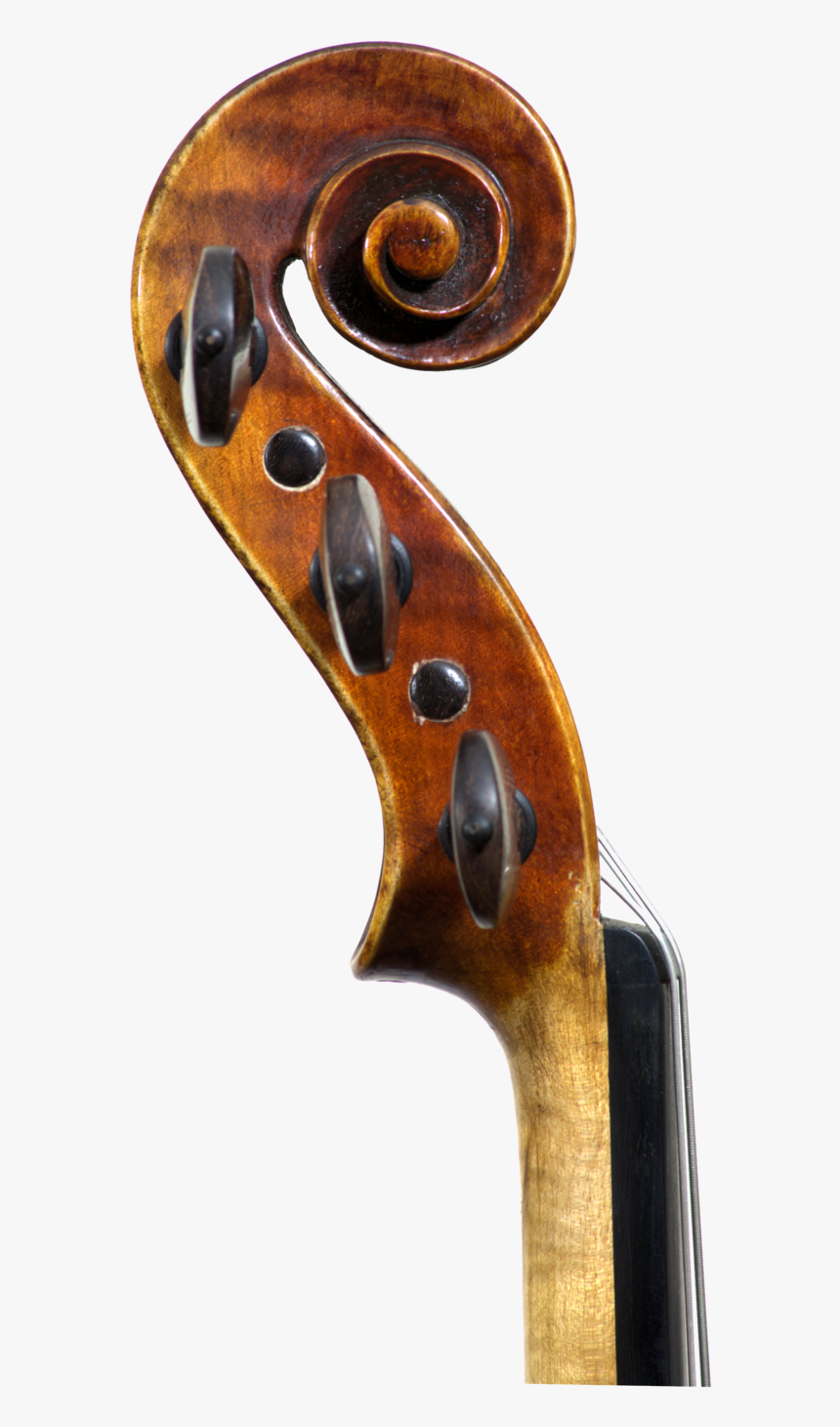 Classic5 Scroll - Francesco Ruggeri Violine, HD Png Download, Free Download