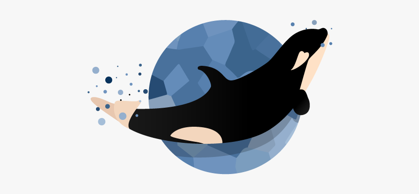 Happy Baby Orca Illustration Vector Whale Orca Baby - Vector Orca Art Png, Transparent Png, Free Download