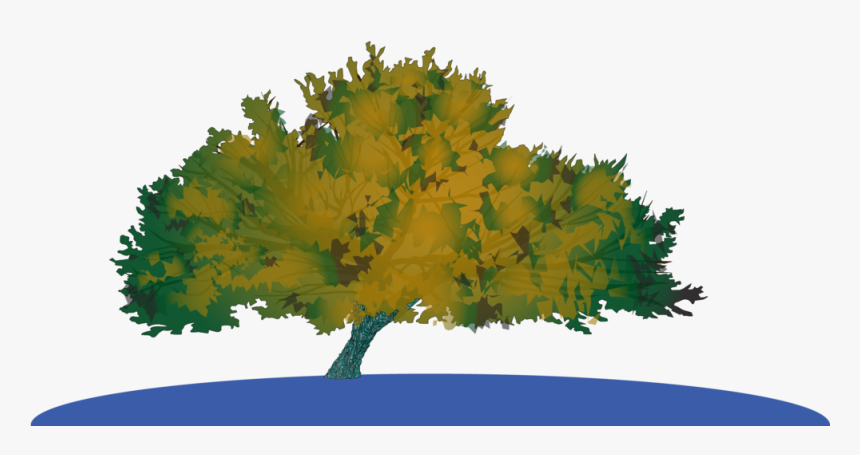 Survivor Tree Illustration-01 - Maple, HD Png Download, Free Download