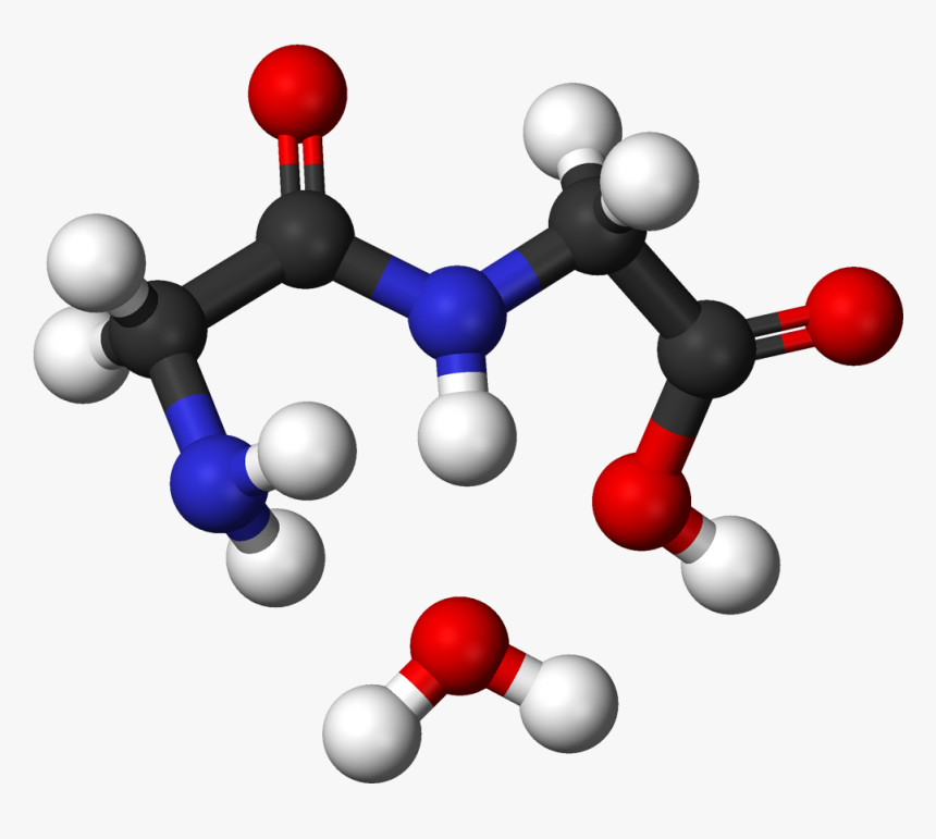 Glycine Condensation 2 3d Balls - Dipeptide Ball And Stick, HD Png Download, Free Download