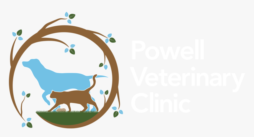 Pet Png, Transparent Png, Free Download