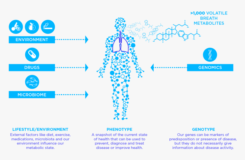 Sources Of Vocs - Volatile Organic Compounds Breath, HD Png Download, Free Download