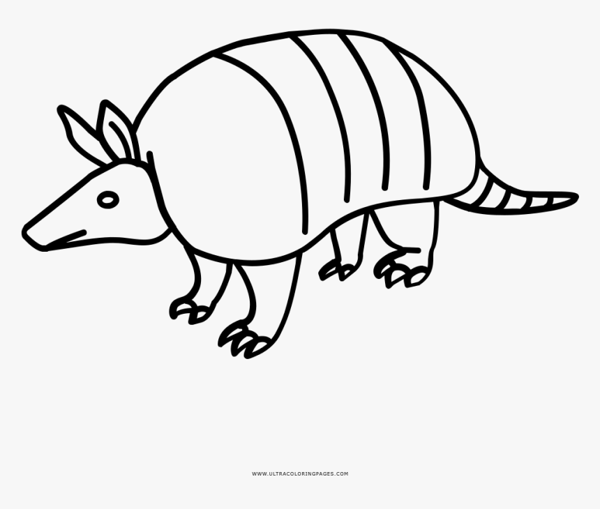 Armadillo Coloring Page - Desenho De Tatu Para Colorir, HD Png Download, Free Download