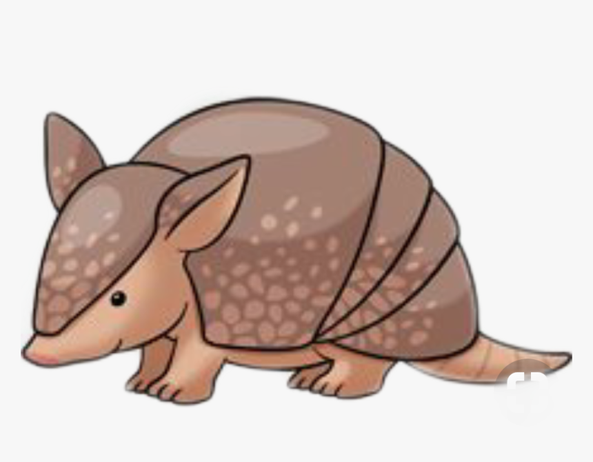 #armadillo - - Armadillo Drawing Easy, HD Png Download, Free Download