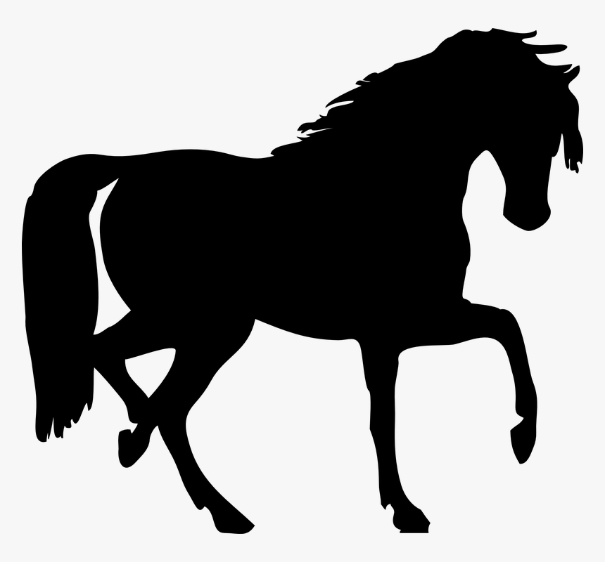 Thumb Image - Horse Silhouette Clipart, HD Png Download, Free Download