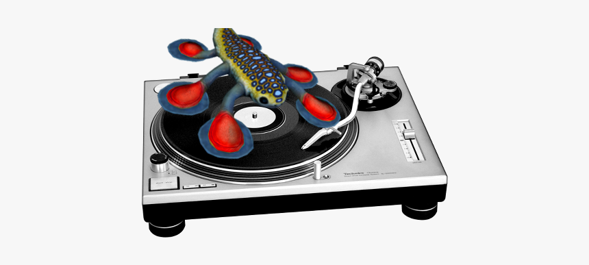King Sea Dragon& - Vinyl Record Player Transparent Background, HD Png Download, Free Download