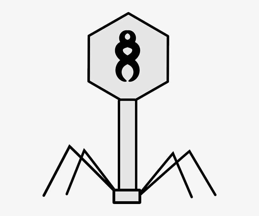 Virus, Bacteriophage, Science, Biology, Structure - Virus Clipart Black And White, HD Png Download, Free Download