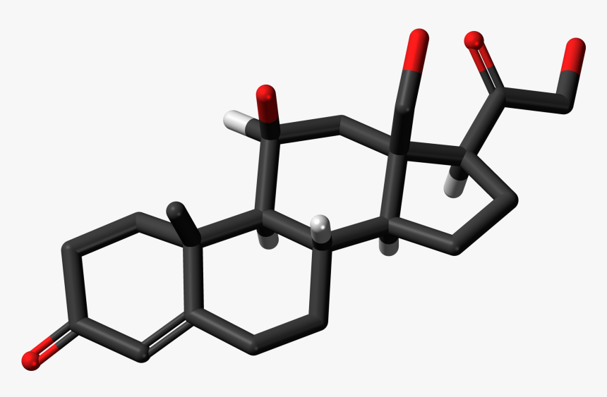 18 Hydroxycorticosterone 3d Skeletal Sticks - Cholesterol 3d Structure, HD Png Download, Free Download