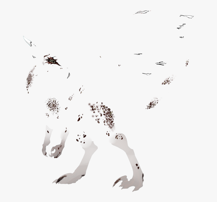 Wgfuqo1 - Illustration, HD Png Download, Free Download