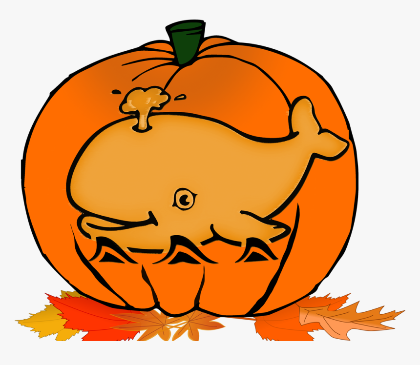 Fallsquirtpumkin - Whale Coloring Pages For Kids, HD Png Download, Free Download