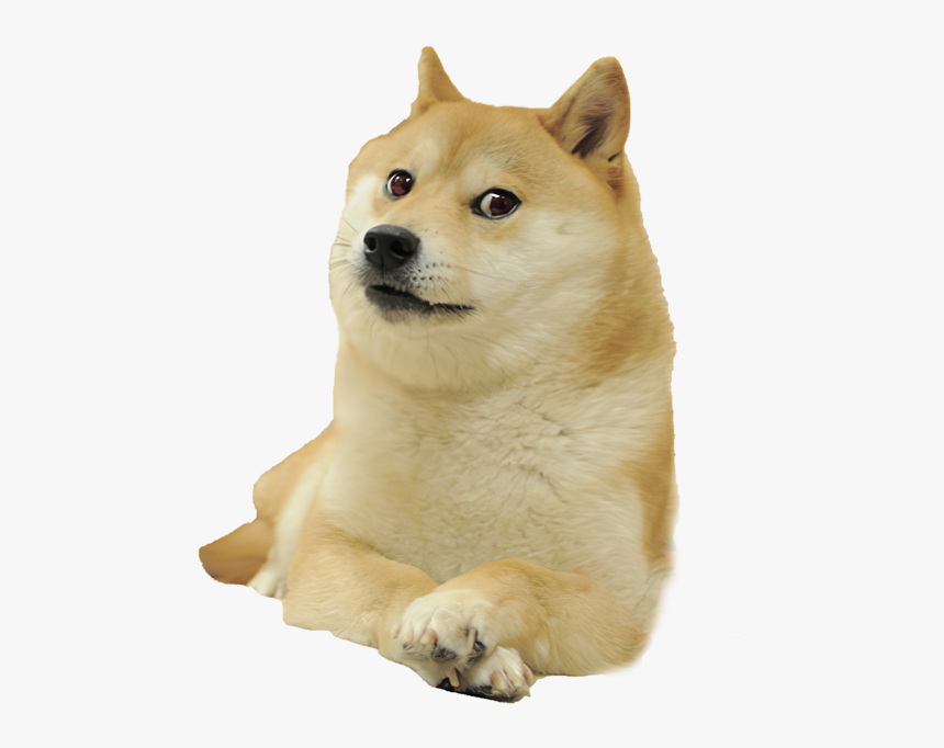 Doge Meme White Background, HD Png Download - kindpng