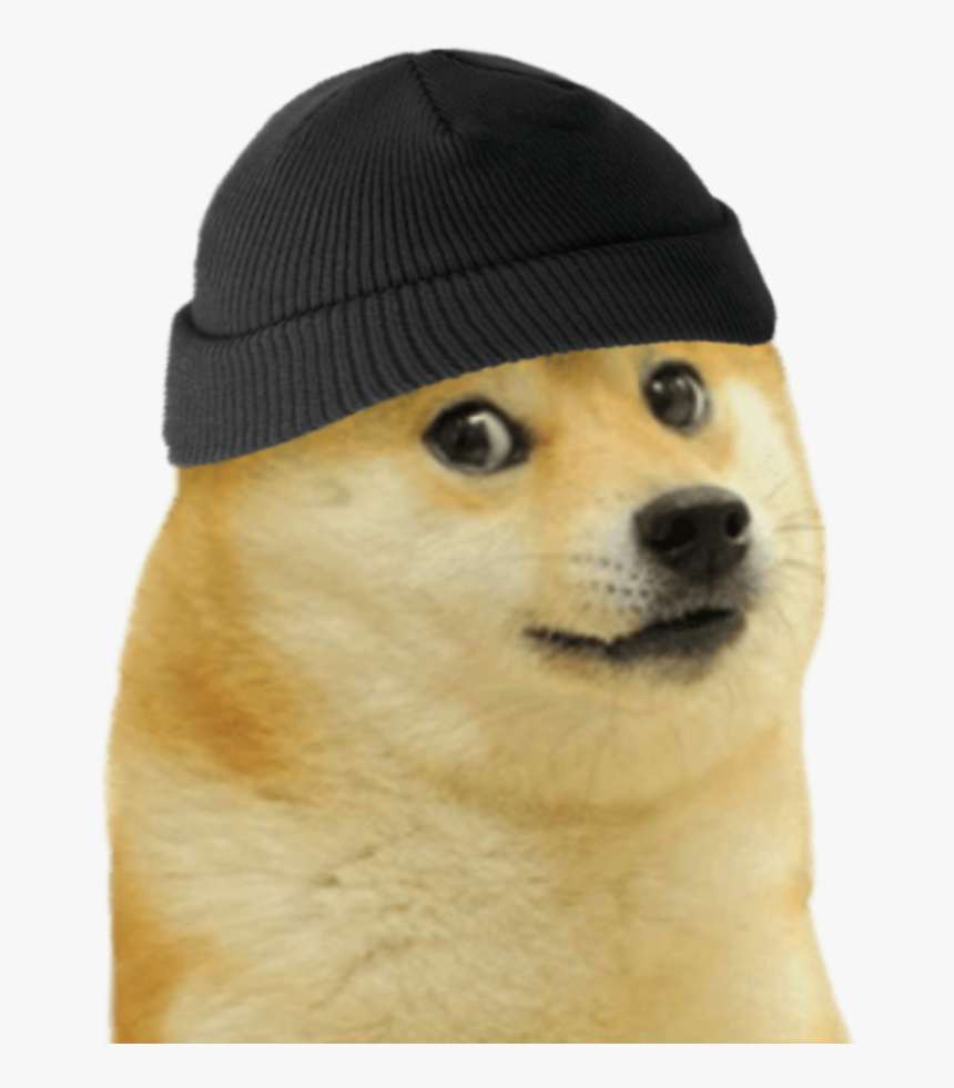 Doge Meme Gif, HD Png Download, Free Download