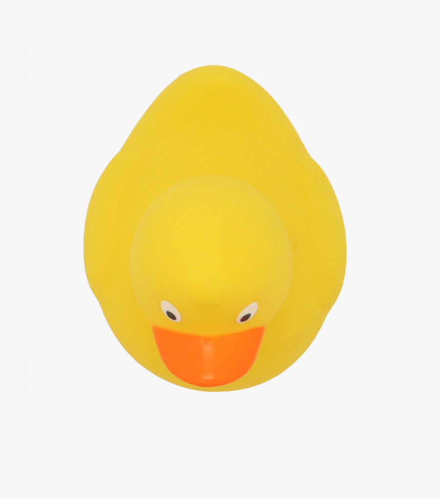 Duck, HD Png Download, Free Download