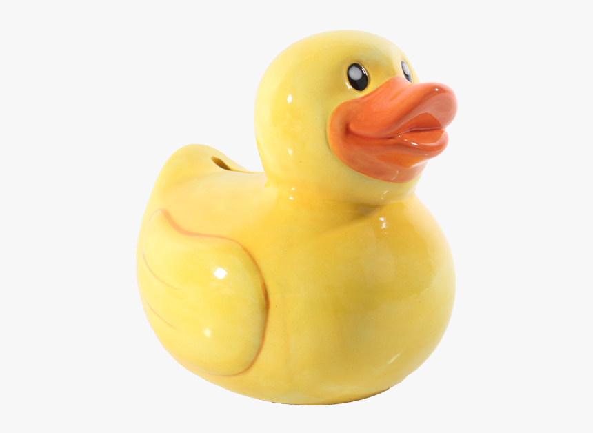 Duck, HD Png Download, Free Download