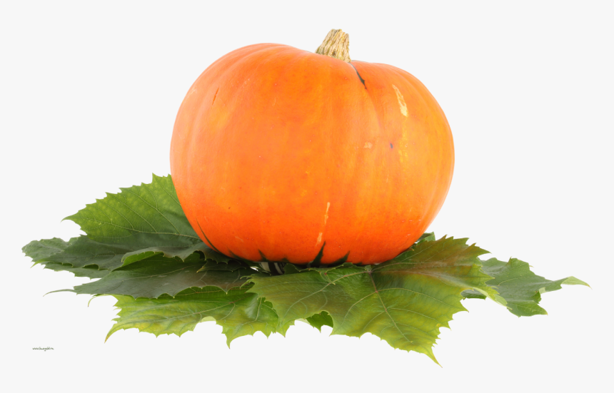 Pumpkin Png Image - Pumpkin Png File, Transparent Png, Free Download