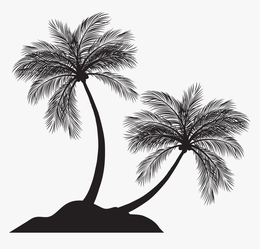 Arecaceae Silhouette Clip Art, HD Png Download, Free Download