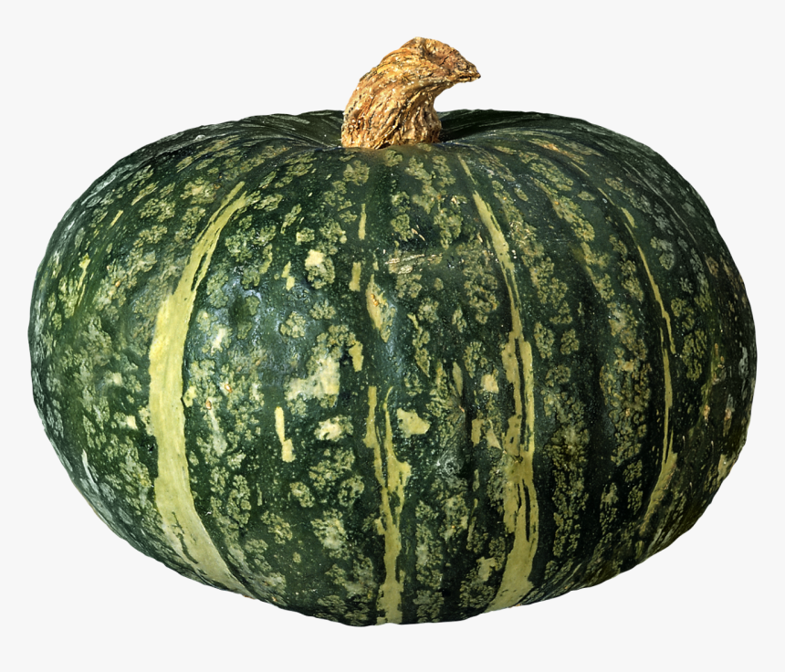 Pumpkin Png Image - Green Pumpkin Png, Transparent Png, Free Download