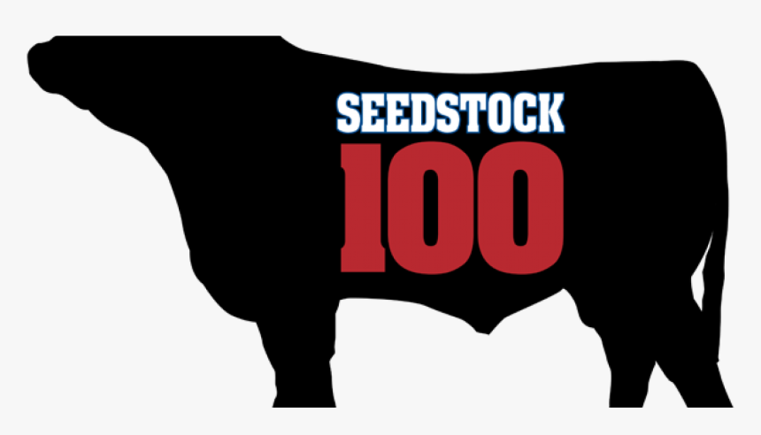 Seedstock - Graphic Design, HD Png Download, Free Download