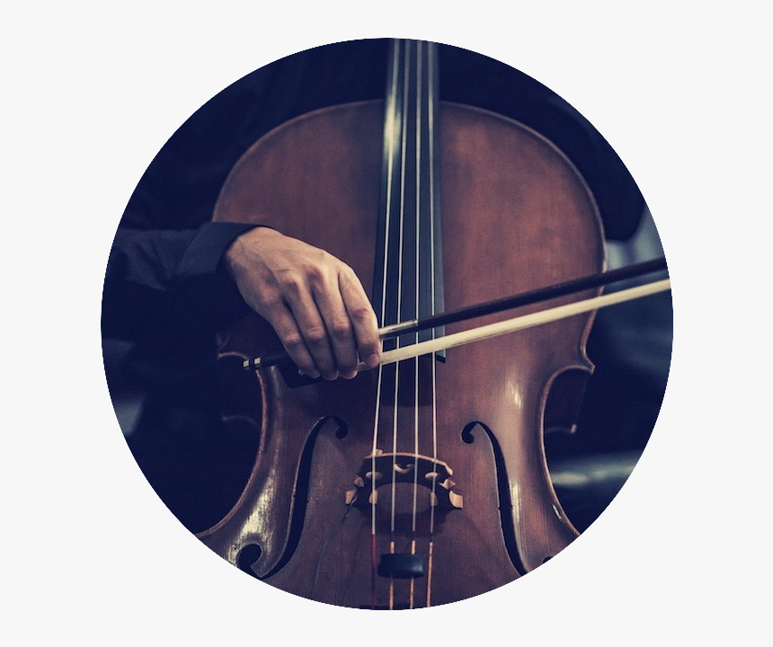 Violin Cello Photography , Png Download - Cello, Transparent Png, Free Download