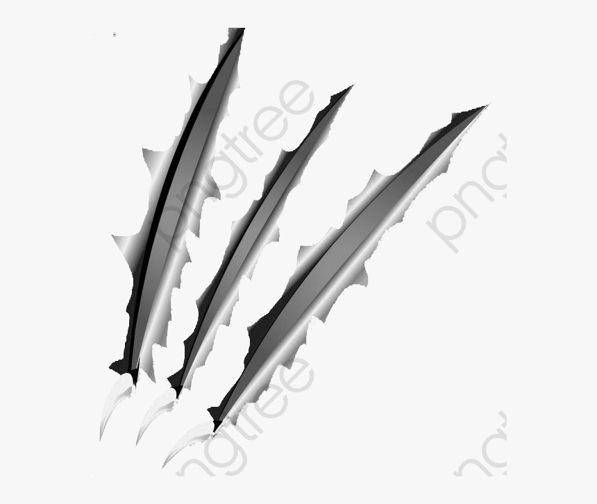 Transparent Claw Marks Clipart - Wolverine, HD Png Download, Free Download