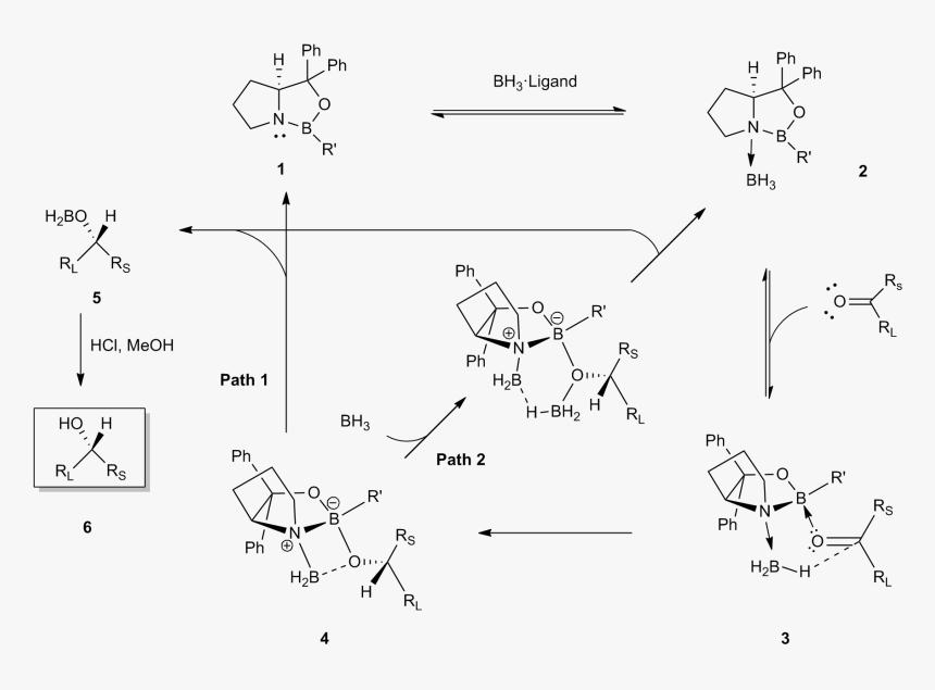 Chem Draw Mechanism Ts コーリー バクシ 柴田 還元 Hd Png Download Kindpng