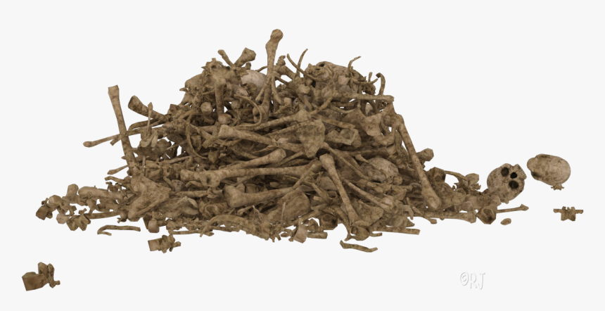 Driftwood, HD Png Download, Free Download