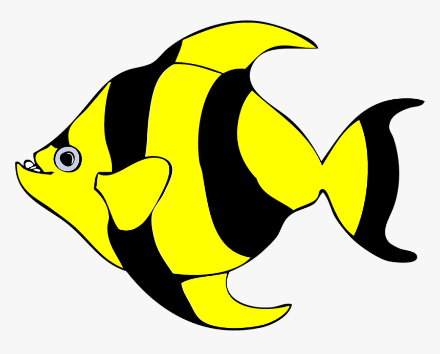 animated fish