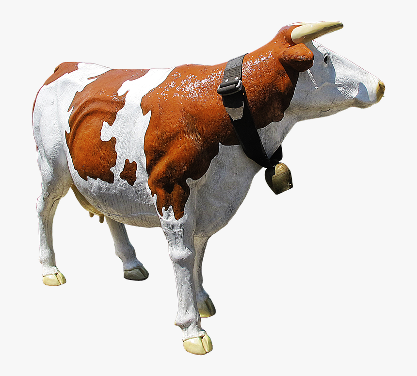 Cow Message In Hindi, HD Png Download, Free Download