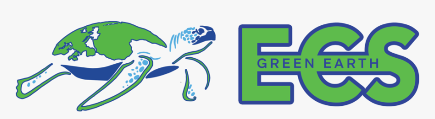 Ecs Text And Turtle Logotransparent - Green Sea Turtle, HD Png Download, Free Download