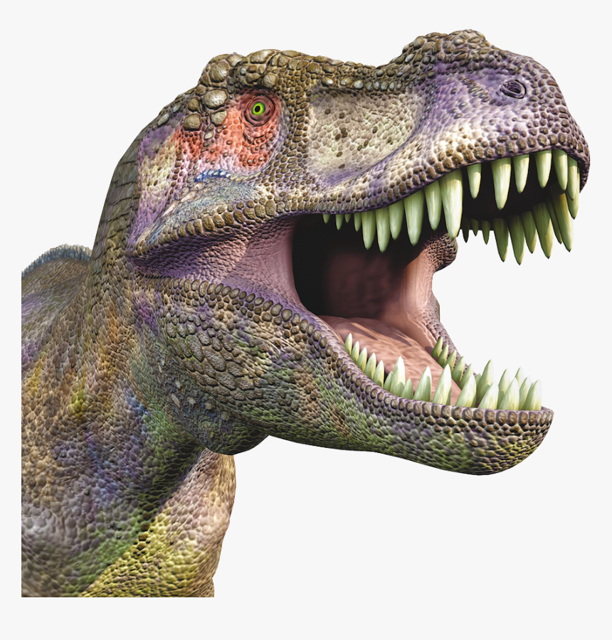 Dinosaur Png - T Rex Open Mouth, Transparent Png, Free Download