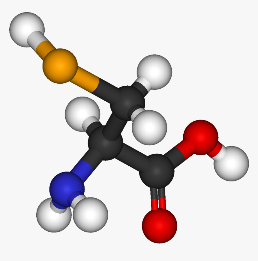 Selenocysteine 3d Balls - Ethyl Acetate Molecule 3d, HD Png Download, Free Download