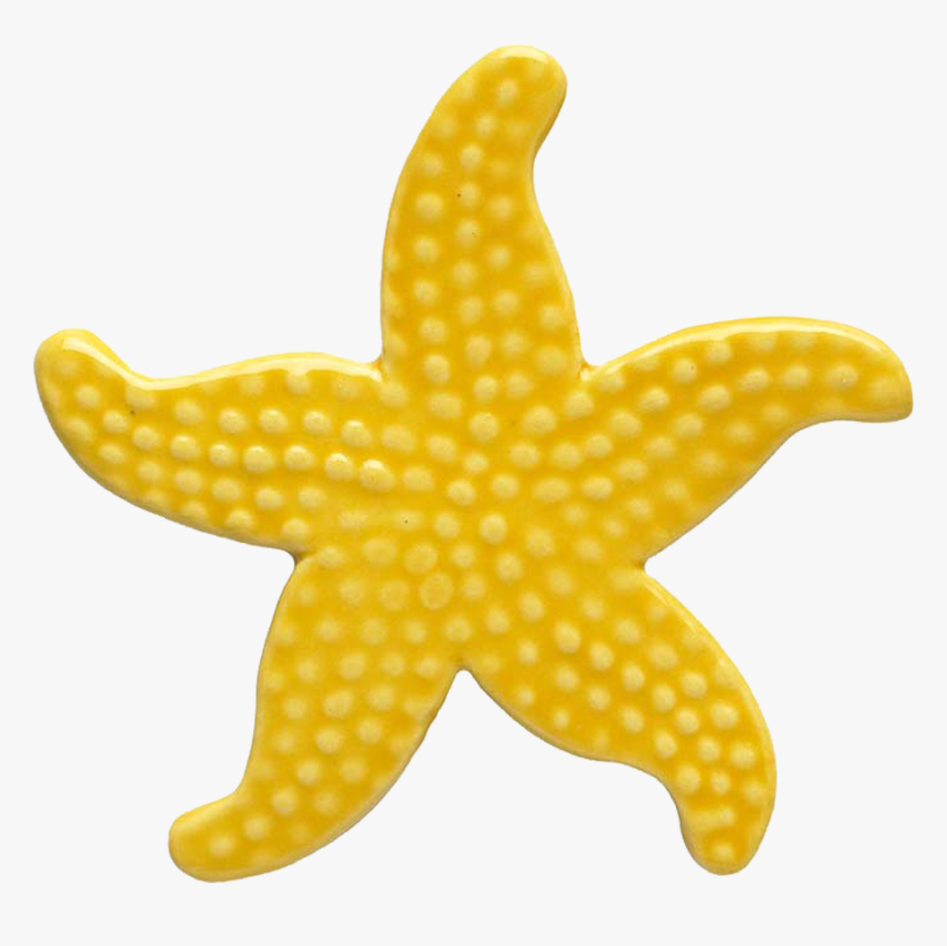 102ye Yellow Starfish - Starfish Yellow, HD Png Download, Free Download