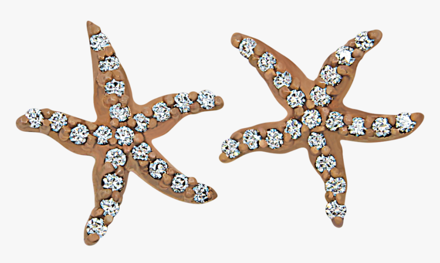 Starfish Featured Jewelry Item - Creative Arts, HD Png Download, Free Download