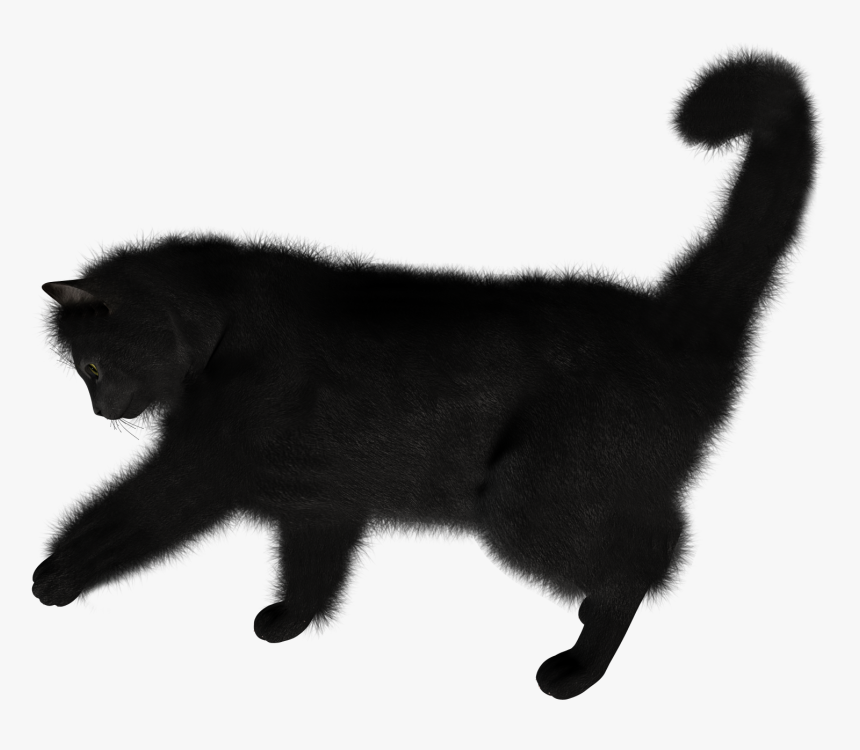 Download For Free Cats Transparent Png File - Transparent Background Black Cat Png, Png Download, Free Download
