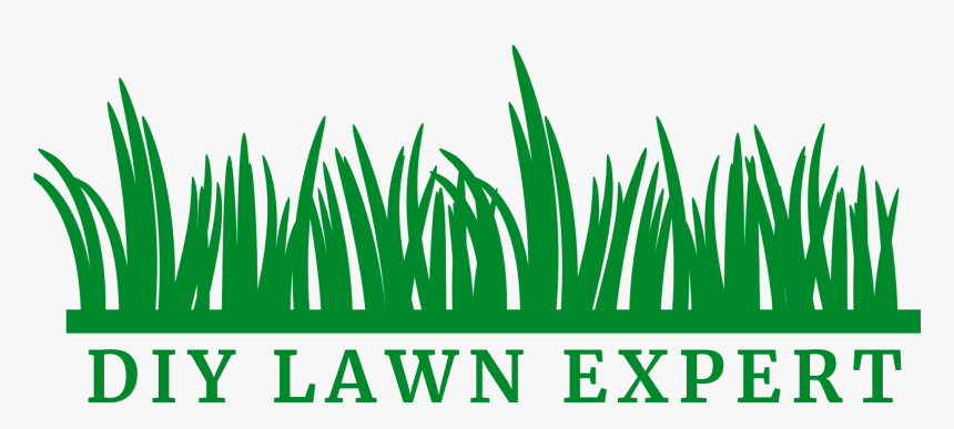 Diy Lawn Expert - Black Grass Clip Art, HD Png Download, Free Download