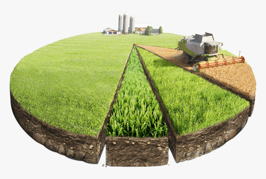 Agricultural Land Transparent Background, HD Png Download, Free Download