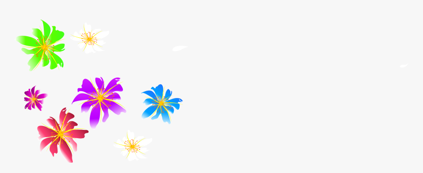 Colorful Flowers Png, Transparent Png, Free Download