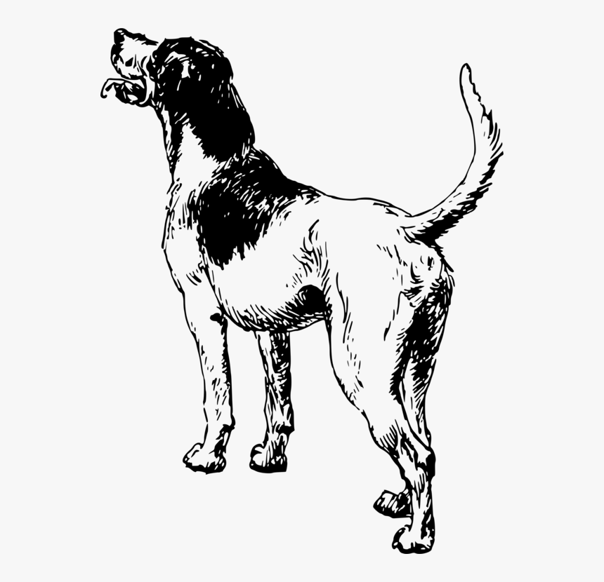 Line Art,tail,paw - Ancient Dog Breeds, HD Png Download, Free Download