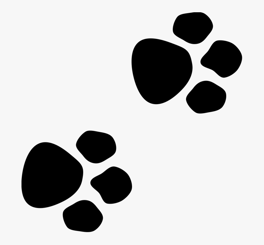 Wildcat Dog Paw Bear - Boxer Dog Prints Silhouette Clipart, HD Png Download, Free Download