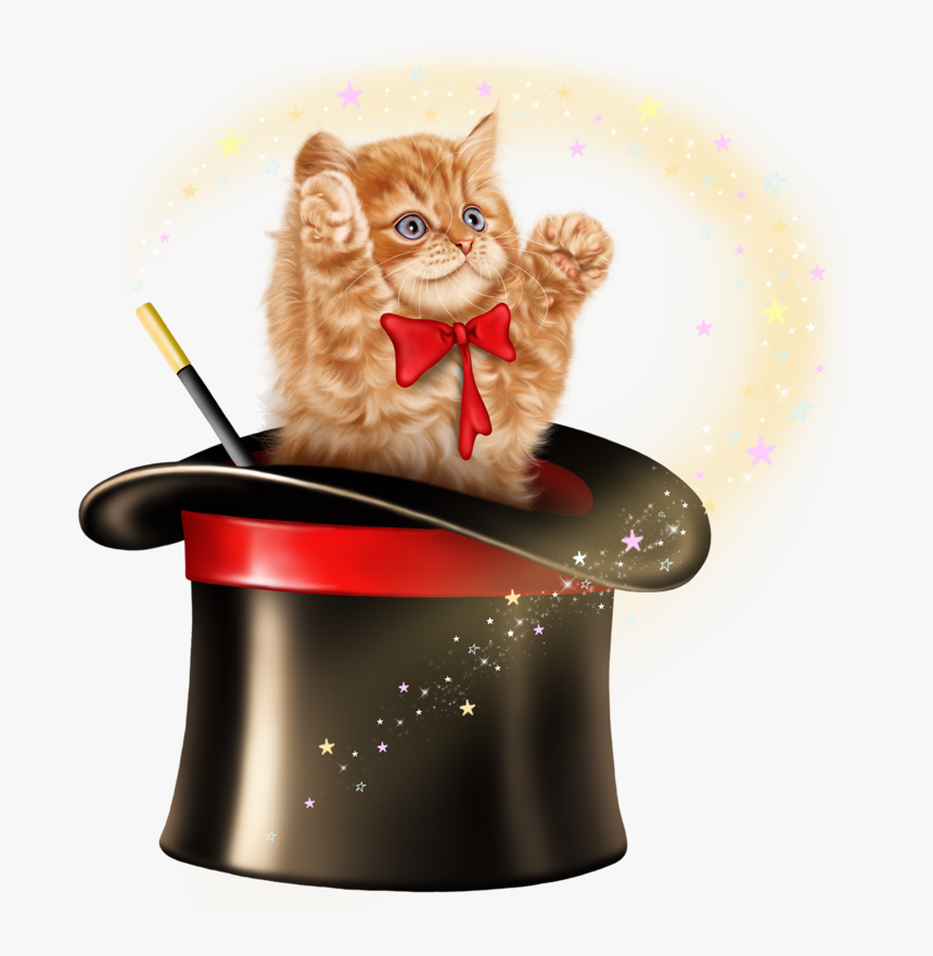 Cat In Magic Hat , Png Download - Cat In A Hat Clipart, Transparent Png, Free Download