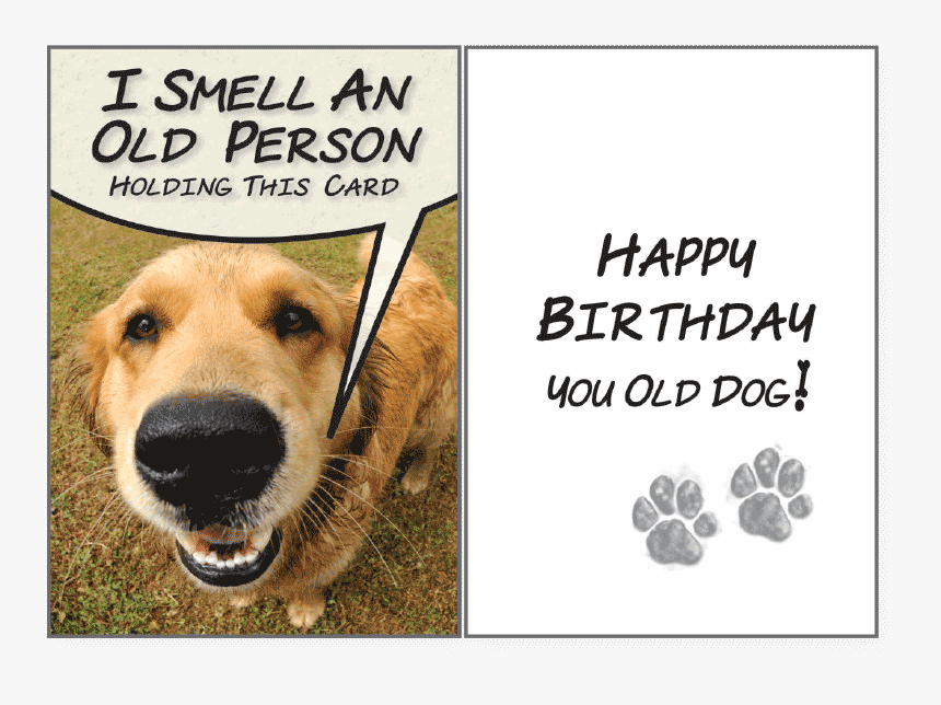 I Smell An Old Person"
 Class= - Happy Birthday Old Dog, HD Png Download, Free Download