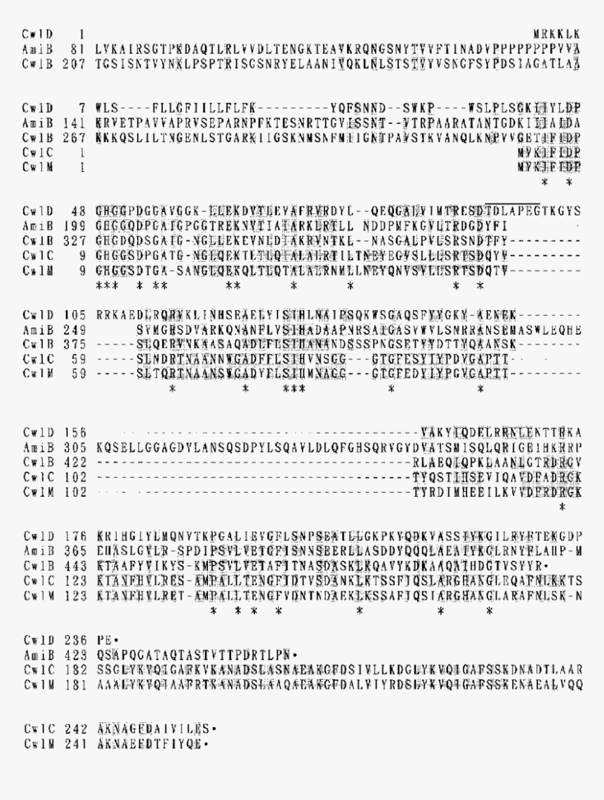 Document, HD Png Download, Free Download