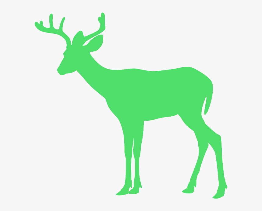 Transparent Moose Silhouette Clip Art - Deer Silhouette, HD Png Download, Free Download